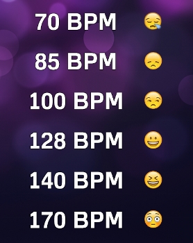 domi81