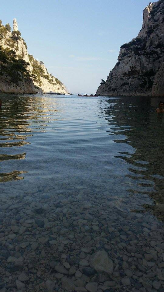 Plai junei