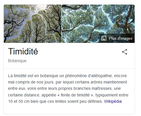 timidite02.jpg