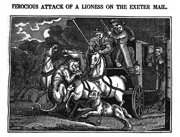 Lion_attacking_the_Exeter_mail_coach_in_1816.png