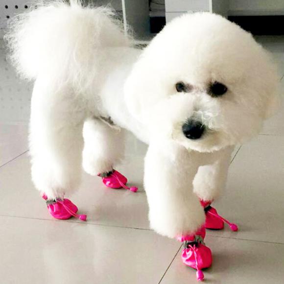 chaussures-pour-grand-chiens-fourres-petis-prix-chaude-pour-proteger-les-pattes-de-votre-animal-animalerie-en-ligne.jpg