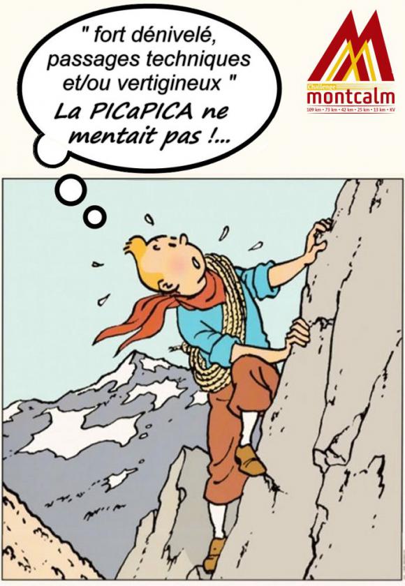 PICaPICA Tintin 3b.jpg