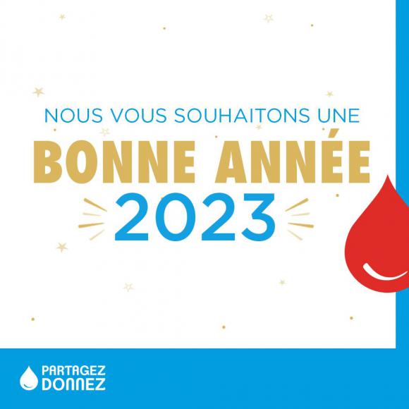 2023 bonne année.jpg