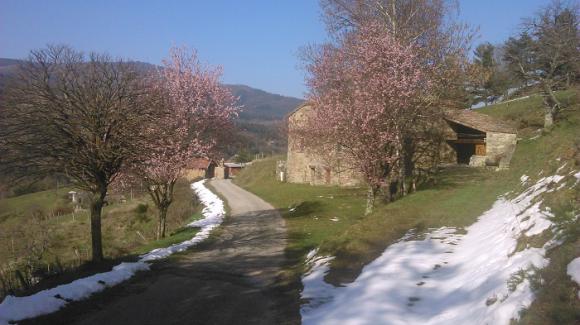 42 le printemps arrive lhiver tire sa révérence.JPG