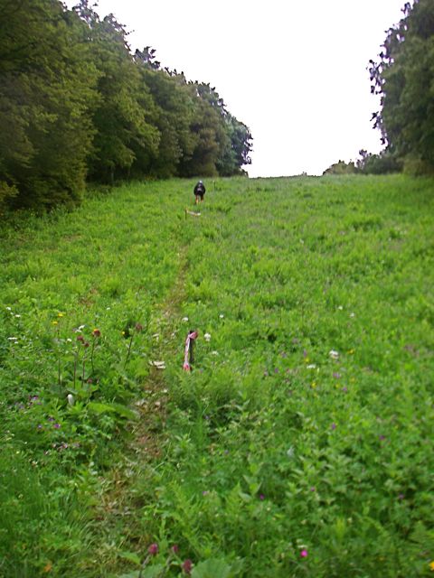 aubrac-28.jpg