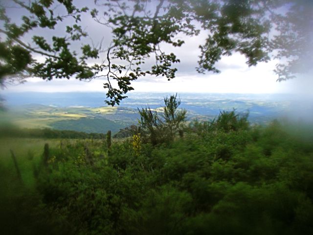 aubrac-29.jpg