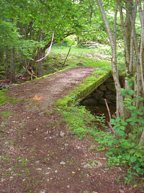 aubrac-36.jpg