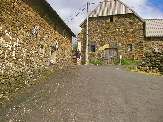 aubrac-40.jpg