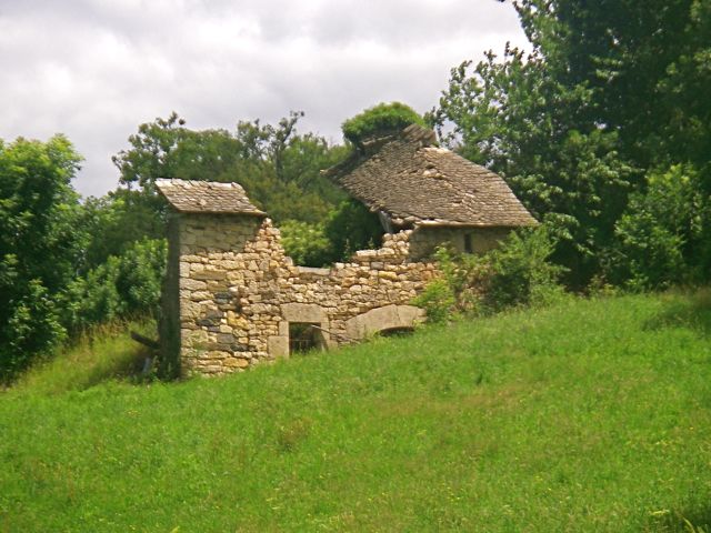 aubrac-52.jpg aubrac-52.jpg