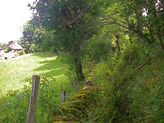 aubrac-53.jpg aubrac-53.jpg