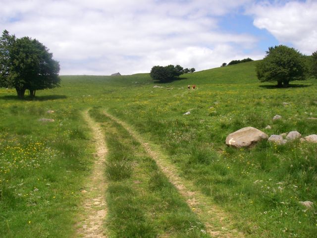 aubrac-70.jpg aubrac-70.jpg