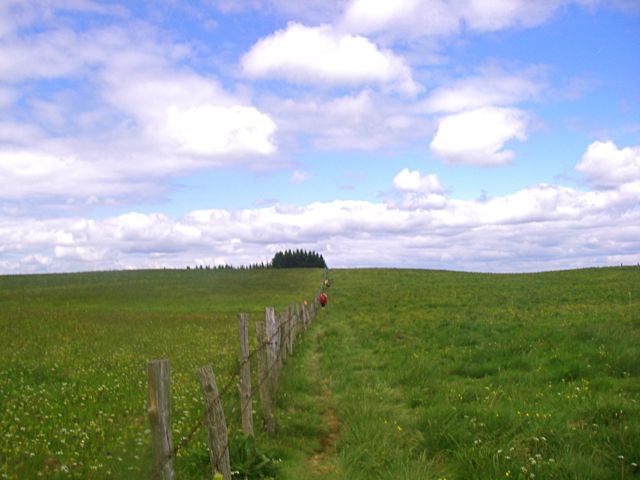 aubrac-71.jpg aubrac-71.jpg