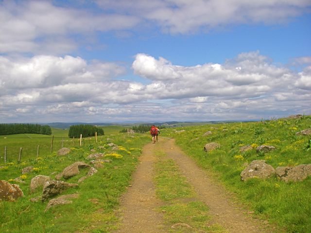 aubrac-72.jpg aubrac-72.jpg