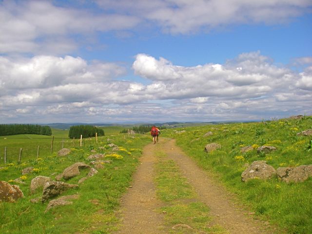 aubrac-72.jpg