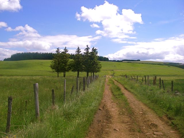 aubrac-73.jpg aubrac-73.jpg