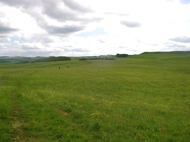 aubrac-74.jpg aubrac-74.jpg