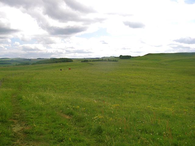 aubrac-74.jpg