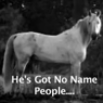 Horse with no name