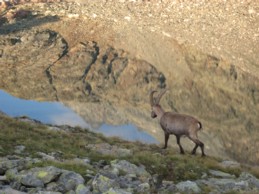 Piloumontagne