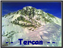 Tercan