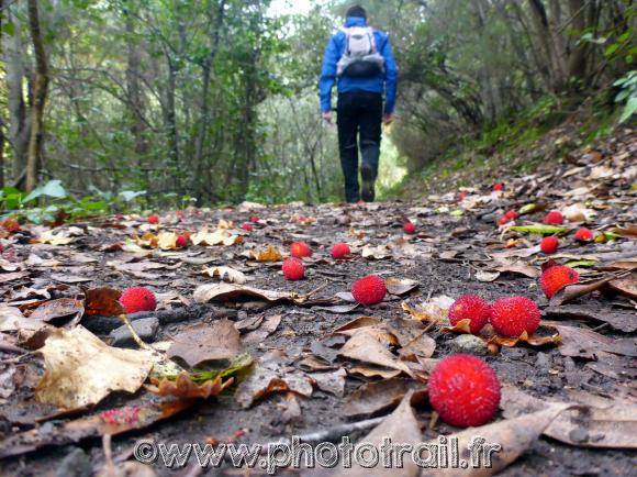 Le Sentier Cathare - Photo Trail.jpg