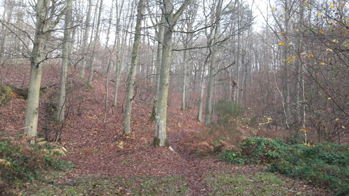 20161127_102843.jpg
