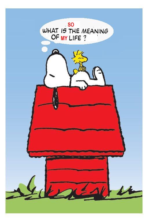 snoopy-philo02.jpg