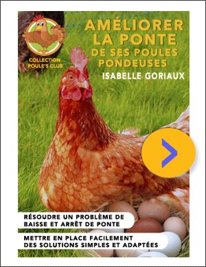 Bon alors, il pond.jpg