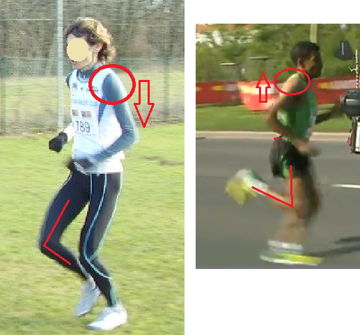 comparatif Gébre-XX.png