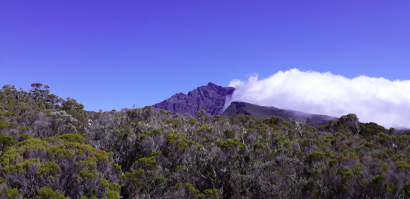 Piton des neiges.png