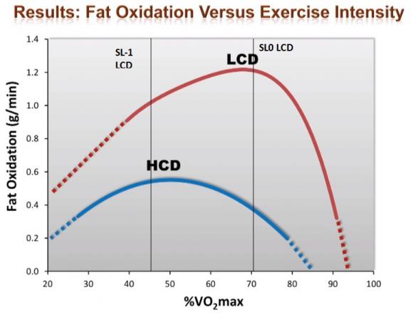 Fatmax Faster v03.jpg