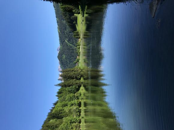 Lac de Morgins.jpg