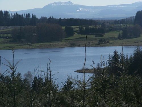 DSCF1772.JPG