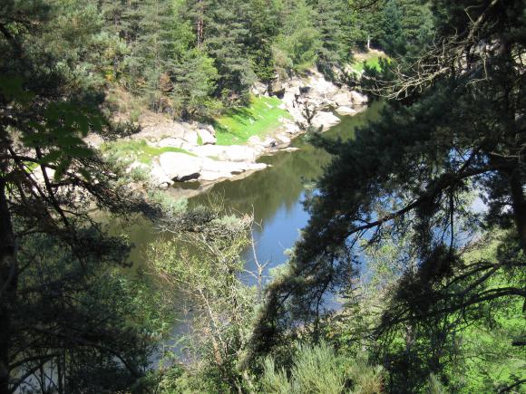 Randonnee les rives du lignon (17).JPG