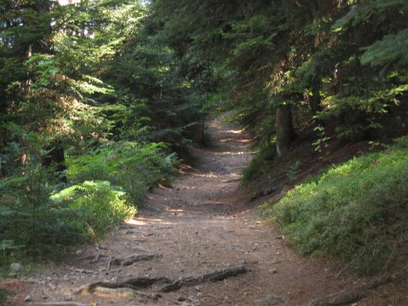 Randonnee les rives du lignon (12).JPG