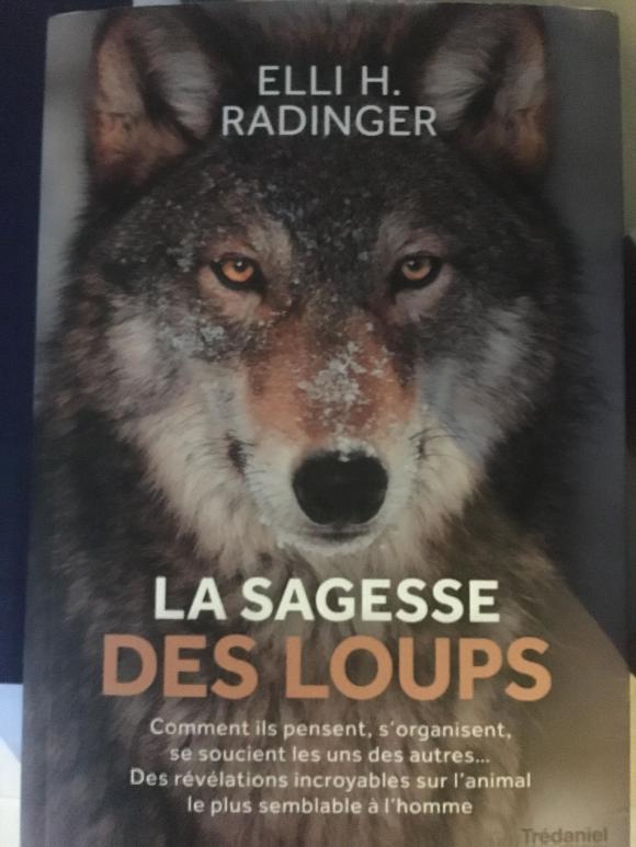 La sagesse des loups.jpg