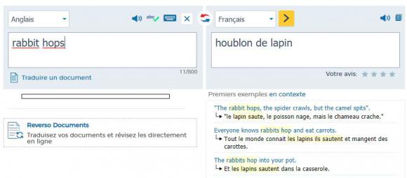 houblon lapin2.JPG