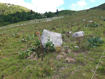 poteau ou? il faut tourner.jpg