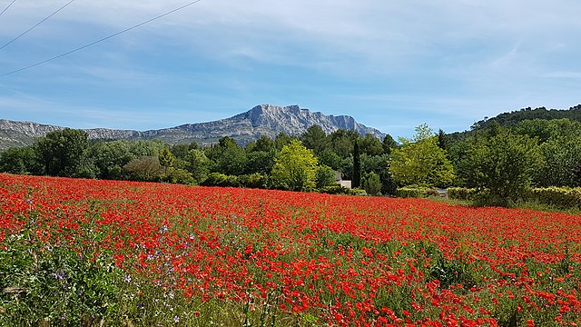 Montagne_Sainte-Victoire_au_Printemps_depuis_Beaurecueil.jpg