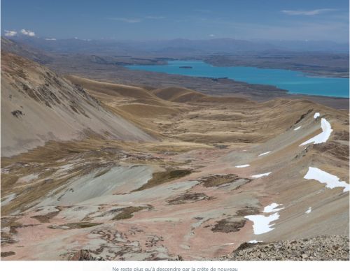 tekapo-photo24.jpg