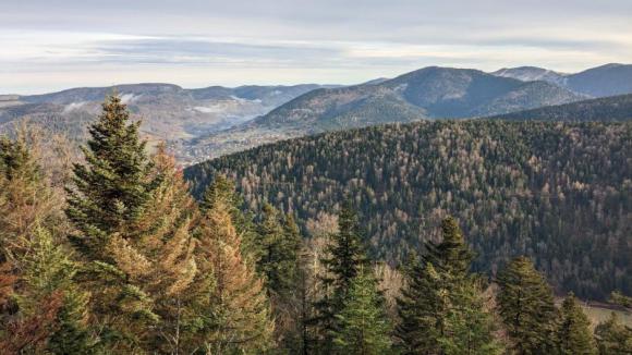 Vue sur les Vosges.jpg