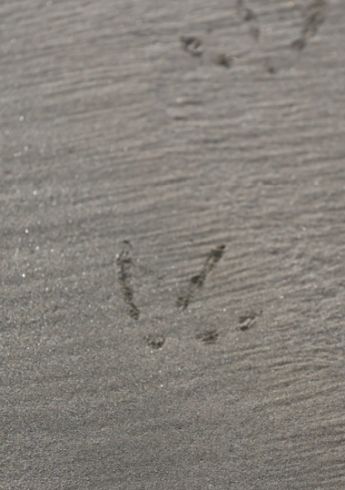 invercargill-03.jpg