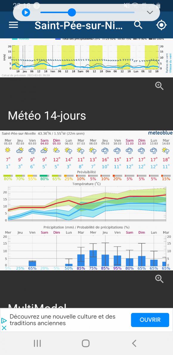 Screenshot_20230301-221830_meteoblue.jpg