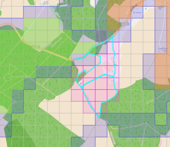 Capture d’écran 2025-03-24 131939.png