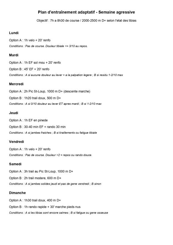 Plan_entrainement_adaptatif_ultra_page-0001.jpg