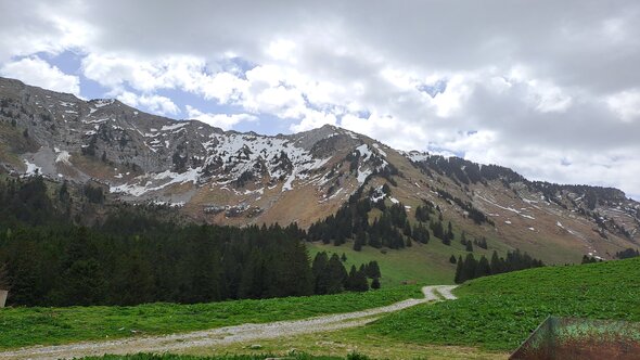 20250503_113048.jpg