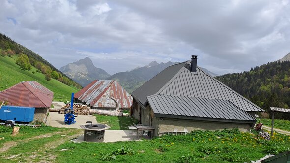 20250503_120057.jpg