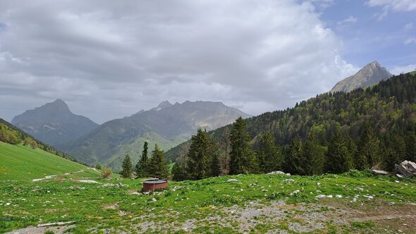 20250503_120852.jpg