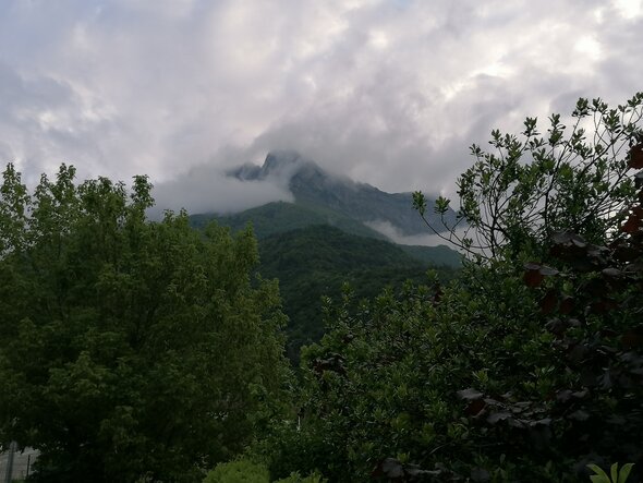IMG_20250521_071658.jpg