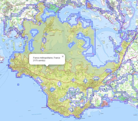 chasse_aux_carres_GolfeMorbihan_Tom2025.jpg
